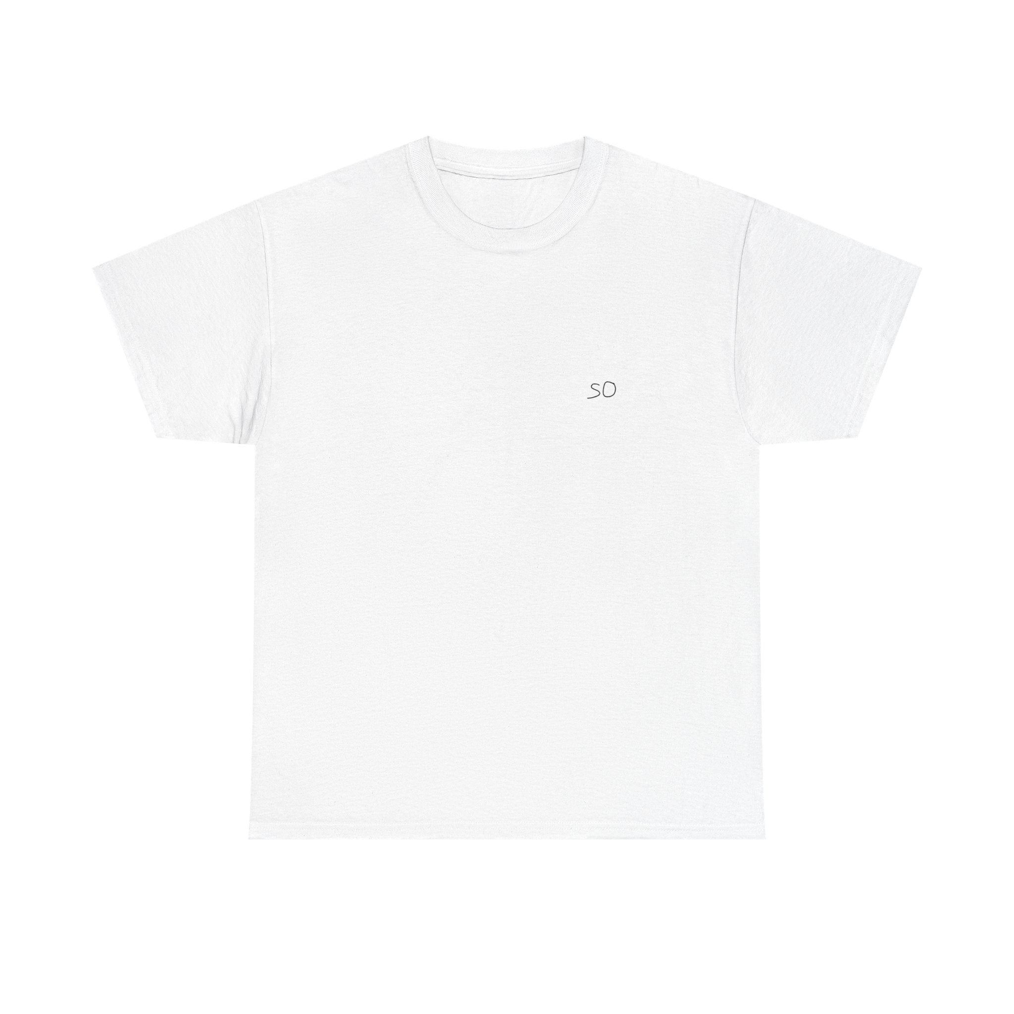 gildan 5000 sample